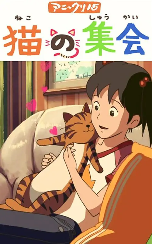长款